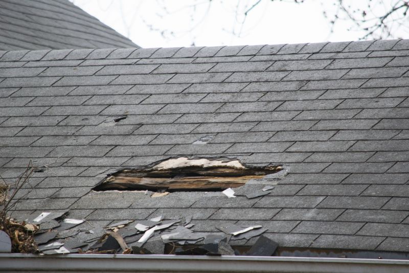 Asphalt Roof Leak Repair in Wayne County, OH