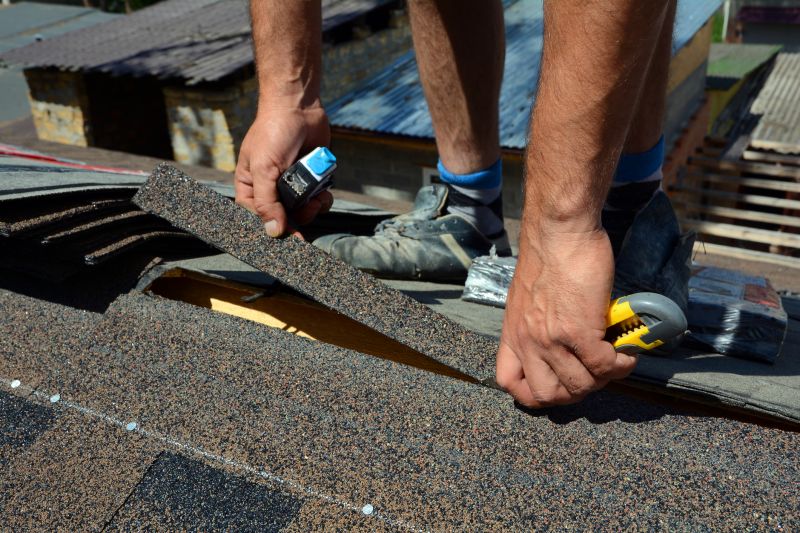 Asphalt Roof Repair in Wayne County, OH