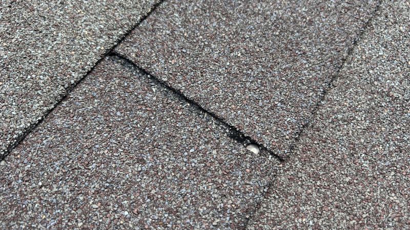 Asphalt Roof Repair in Wooster, OH