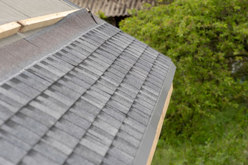 Damaged Roof Repair in Wayne County, OH