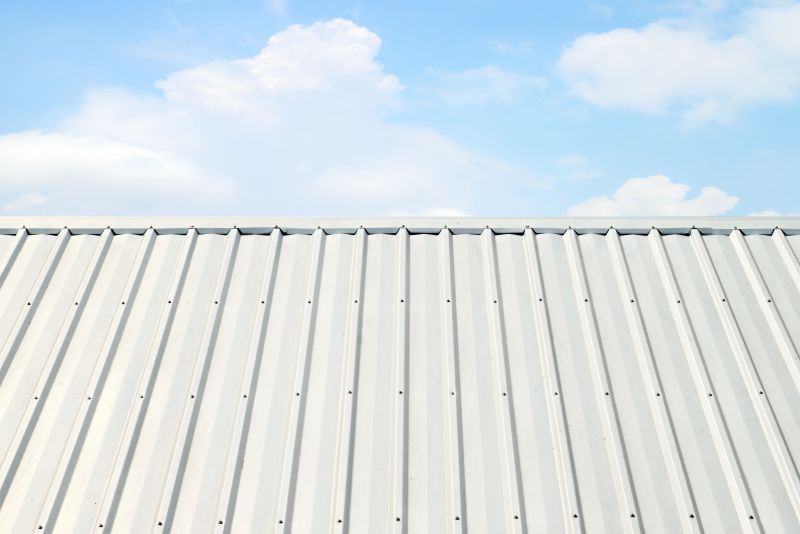 Metal Roof Coating Service in Stark County, OH