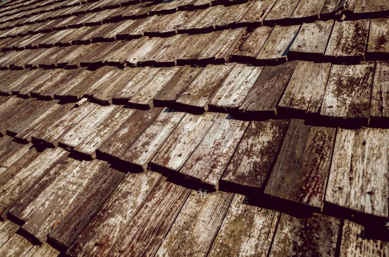 Shake Roof Replacement in Wayne County, OH