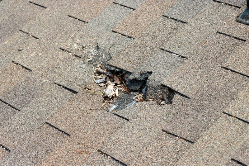 Shingle Roof Replacement in East Canton, OH